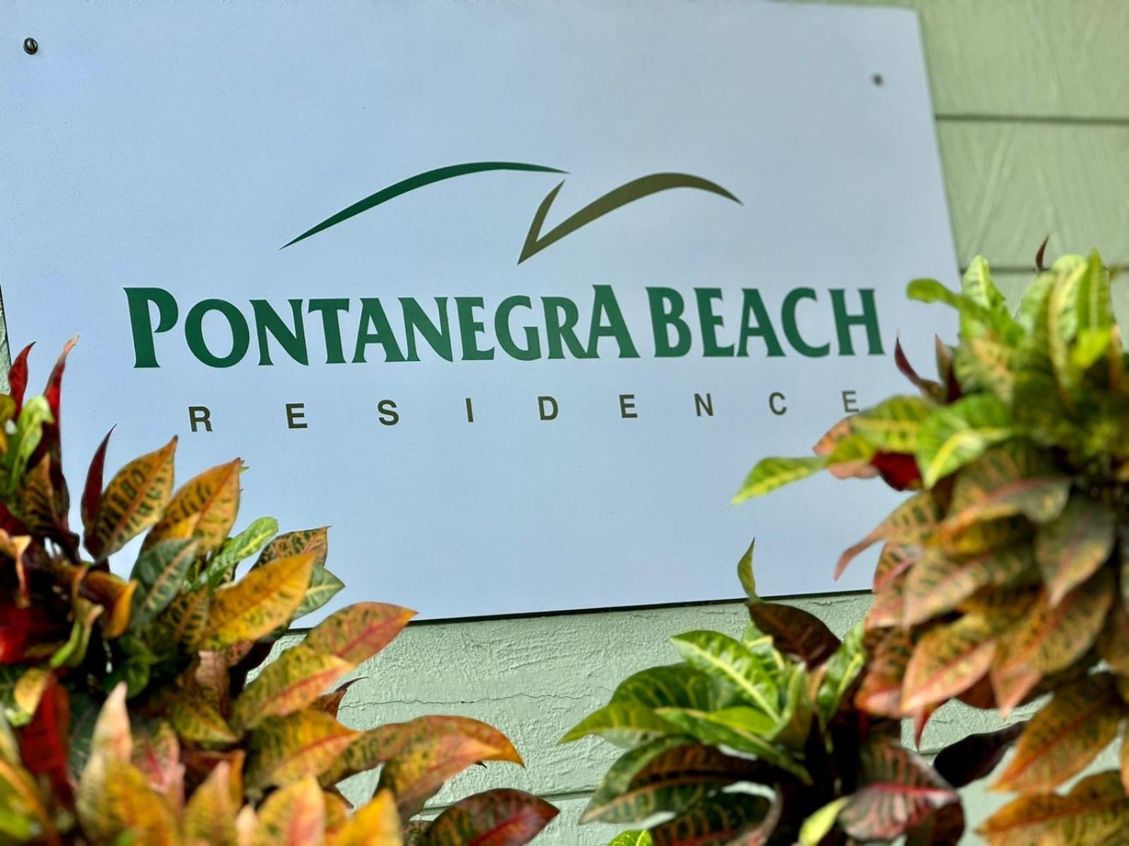 Edy Hospedagens Beira-Mar Flat 310 Com Vista Para O Morro Do Careca, Piscina E Localizacao Privilegiada 纳塔耳 外观 照片